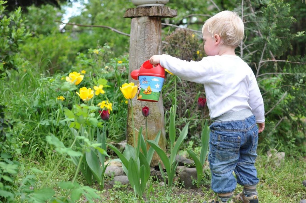 Zabavno i korisno / Aktivnosti u bašti u vezi s kojim vam djeca mogu pomoći