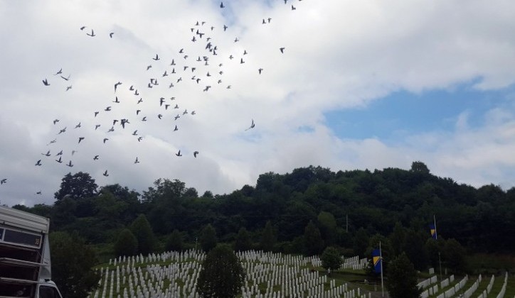 Iz Potočara pušteno 950 golubova pismonoša