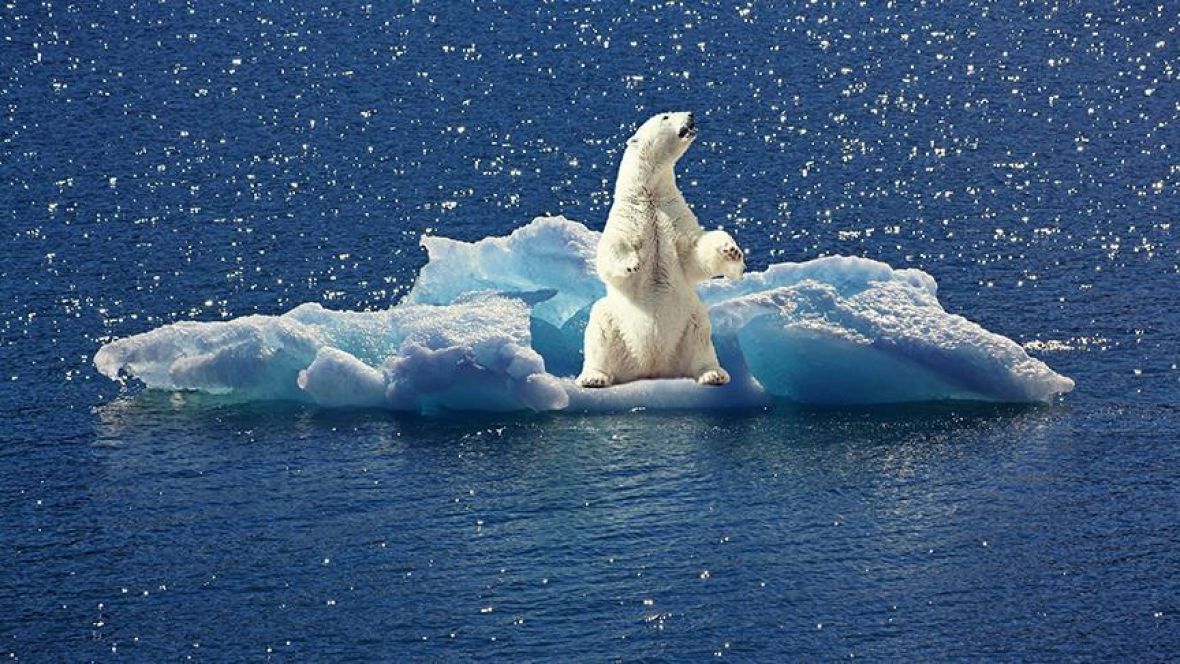 Sjeverni pol se zagrijao dva puta više od ostatka svijeta