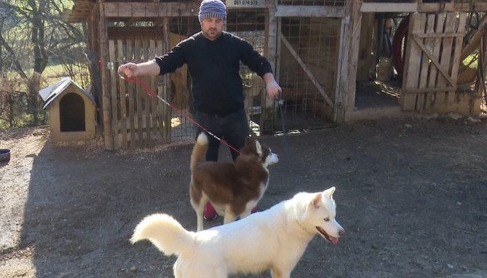 Sibirski haskiji iz doline Sane: Amel šest godina uzgaja energične polarne pse