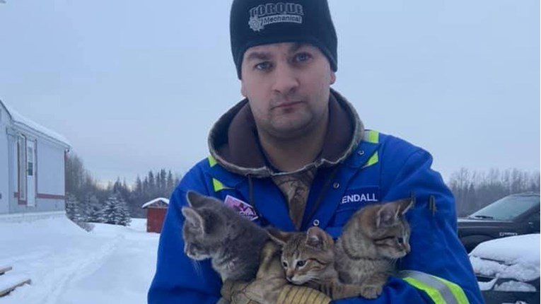 U snijegu našao tri smrznuta mačića, spasio ih je pomoću vruće kafe
