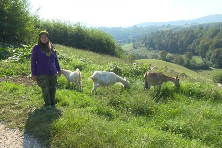 Habiba Burnić: Koze se isplati držati