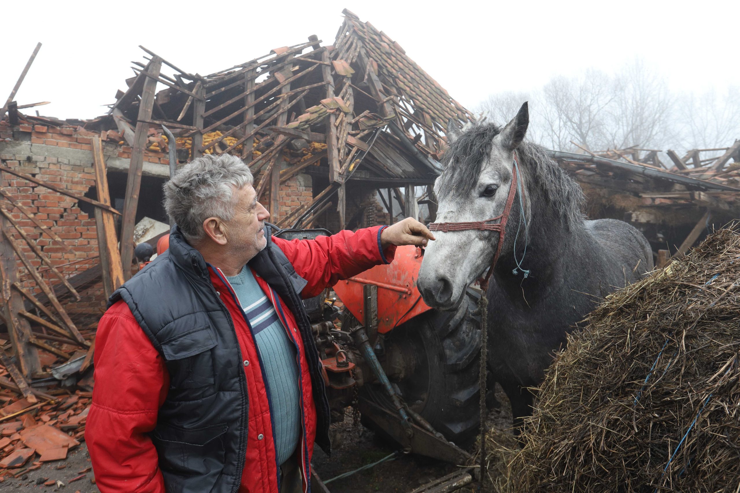 Najemotivnija slika dana: Iz ruševina spasio voljenog konja