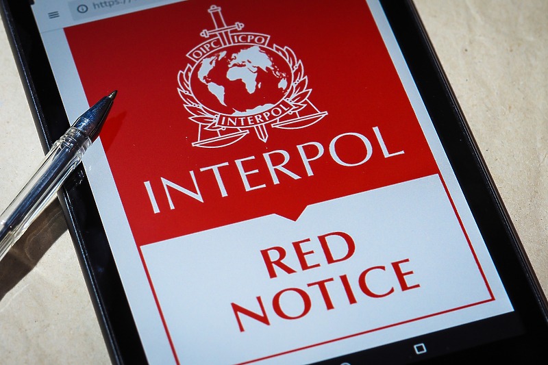 Na Interpolovim crvenim potjernicama nalazi se 101 državljanin BiH