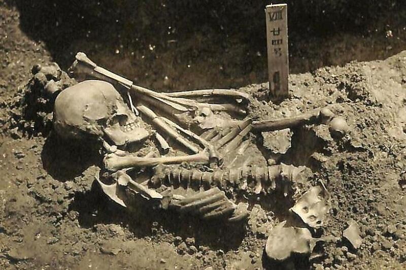 Otkrivena najstarija žrtva ajkule stara 3.000 godina