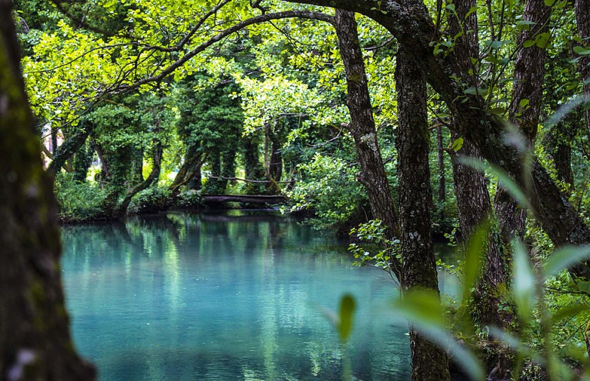 Prvo iz BiH: Prašuma Јanj uvrštena na UNESCO listu svjetske baštine