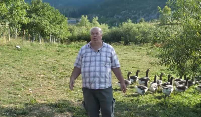 Ferid Mehić na Vlašiću uzgaja guske, kila guščije masti i do 300 maraka