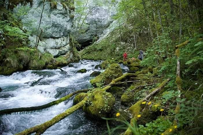 Raste broj zaštićenih područja u BiH, vrela Sane proglašena spomenikom prirode
