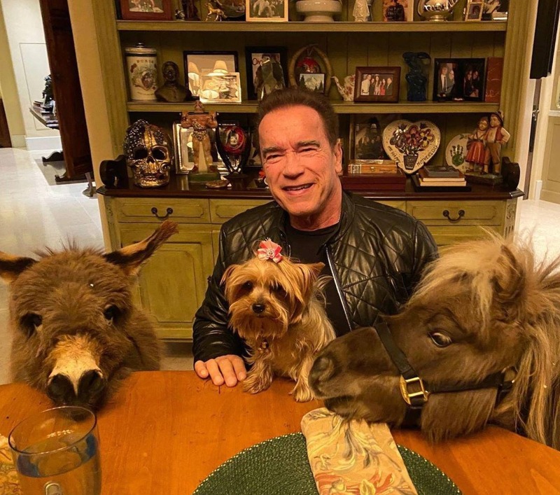 Arnold Schwarzenegger razljutio fanove, evo i zašto