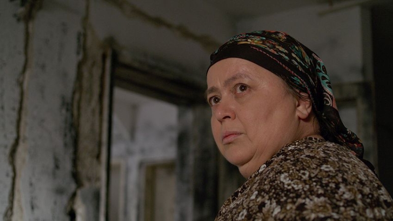 Film “Švedsko srce moje majke” Adisa Bakrača osvojio dvije nagrade na festivalu u Crnoj Gori