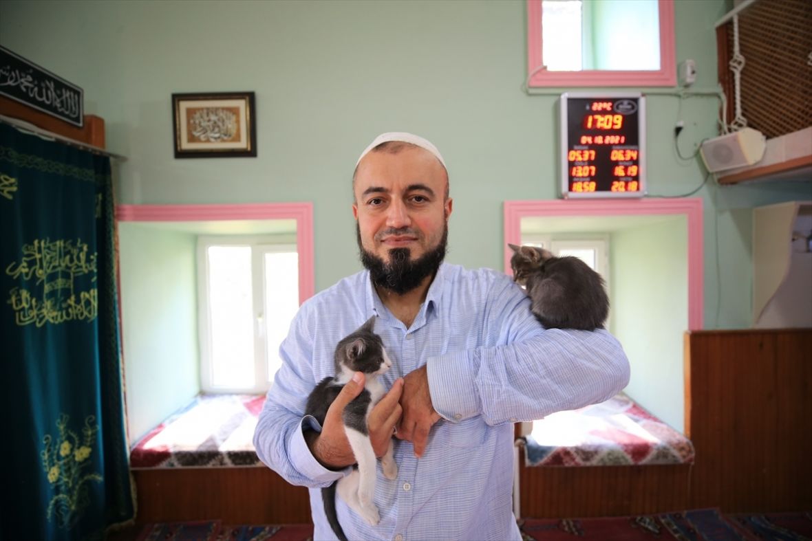 Efendija iz Turske otvorio vrata džamije mačkama: “Tako kaže i hadis Poslanika”