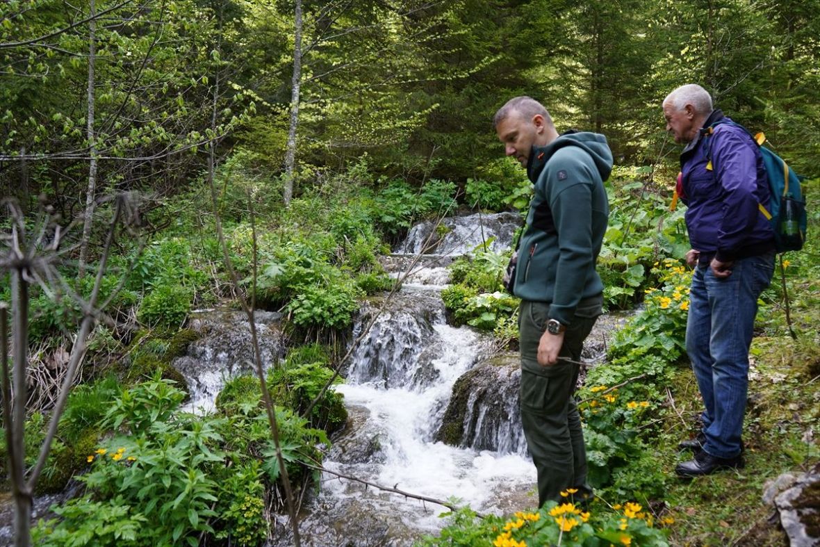 Članovi bh. udruženja Explorer dokazali pozitivan utjecaj šuma na zdravlje