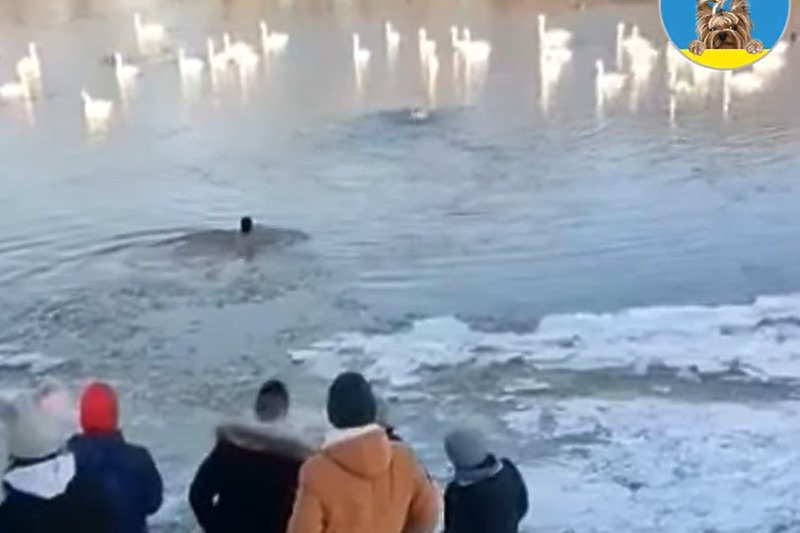 Mladić iz Srbije skočio u zaleđenu rijeku kako bi spasio svog psa Snupija