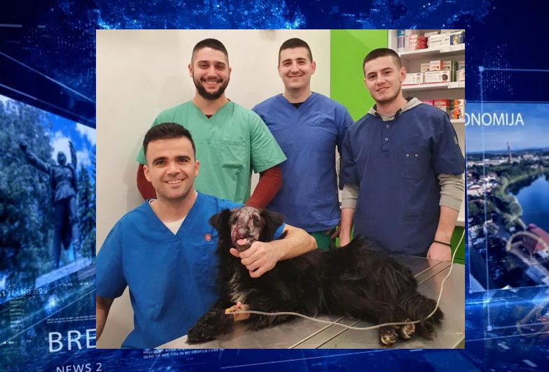 Naporima veterinara iz Prijedora napušteni mješanac dobio novu šansu za život￼