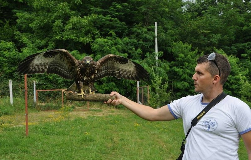 Bosanski “šaptač pticama” spašava povrijeđene životinje i vraća ih u divljinu