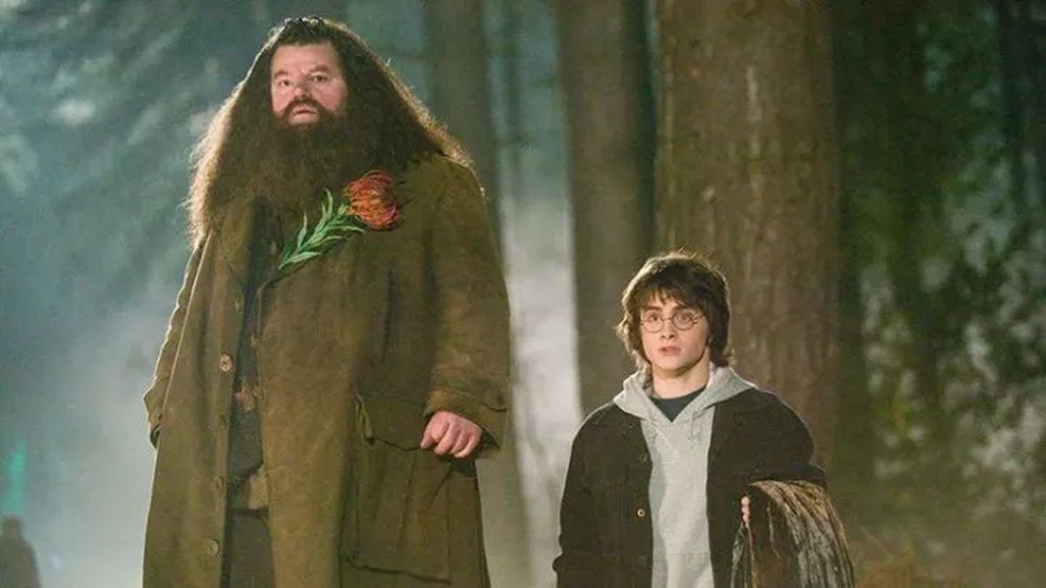 Prepoznajete li ga? Hagrid iz Harry Pottera danas teško bolestan živi u štali