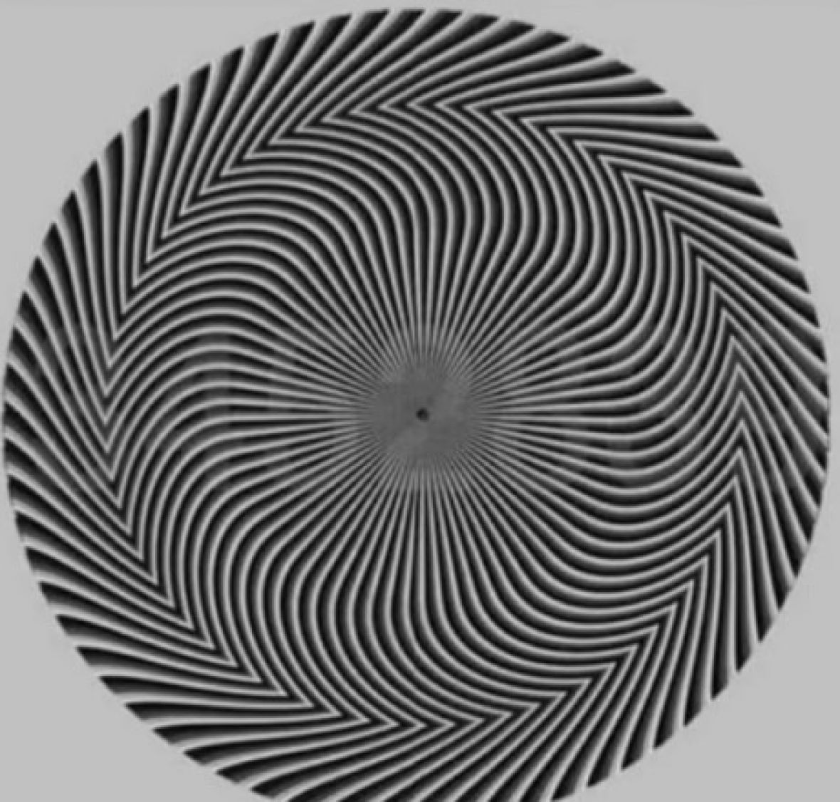 Optička iluzija posvađala internet: Koje brojeve vi vidite?