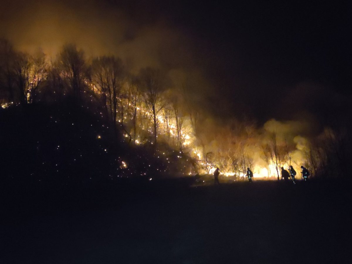 Borba sa vatrenom stihijom na području Sanskog Mosta
