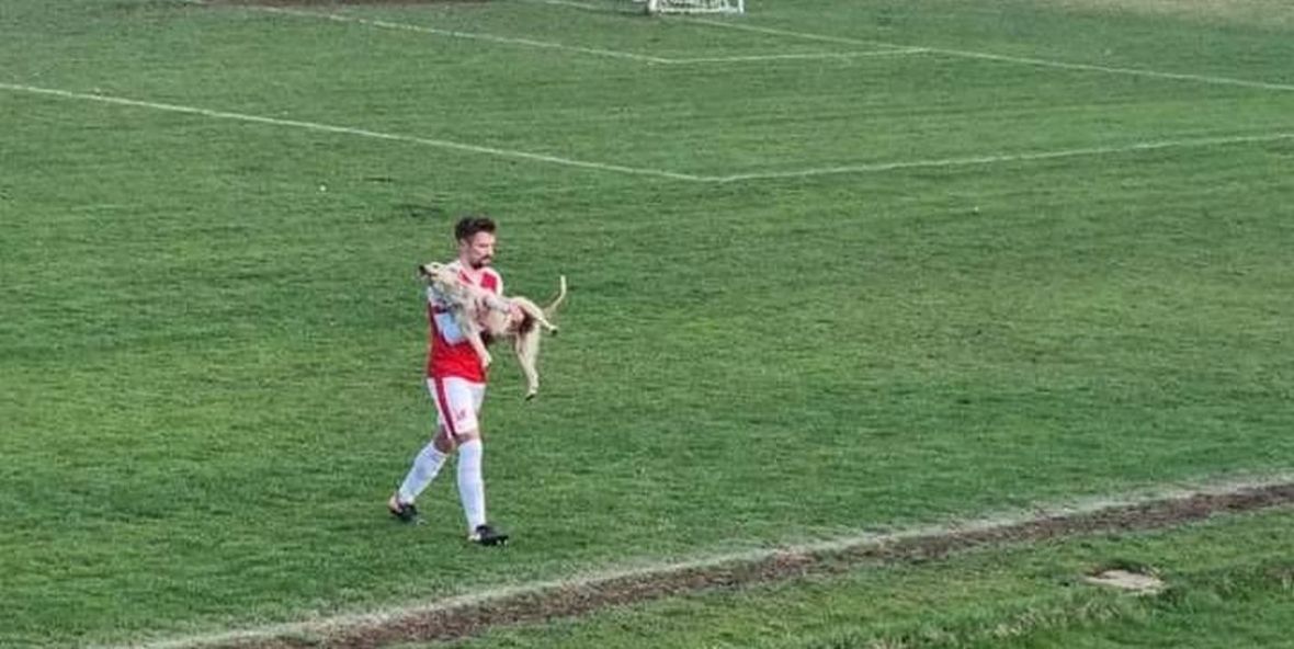 Sve čari bh. fudbala: Pas ušao na teren i prekinuo utakmicu