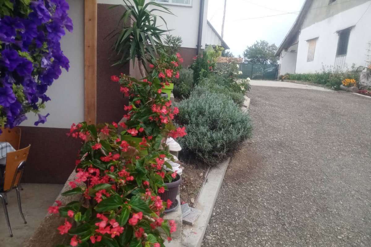 Povratnička kuća okupana cvijećem u udaljenom sanskom selu￼￼