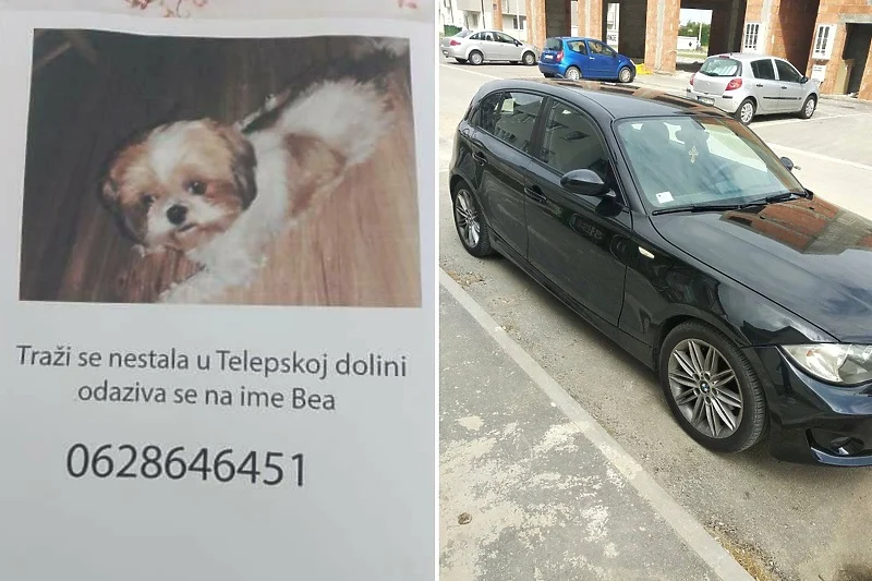 Vraćen pas čiji je vlasnik za nagradu davao BMW, djevojka koja ga je našla odbila automobil