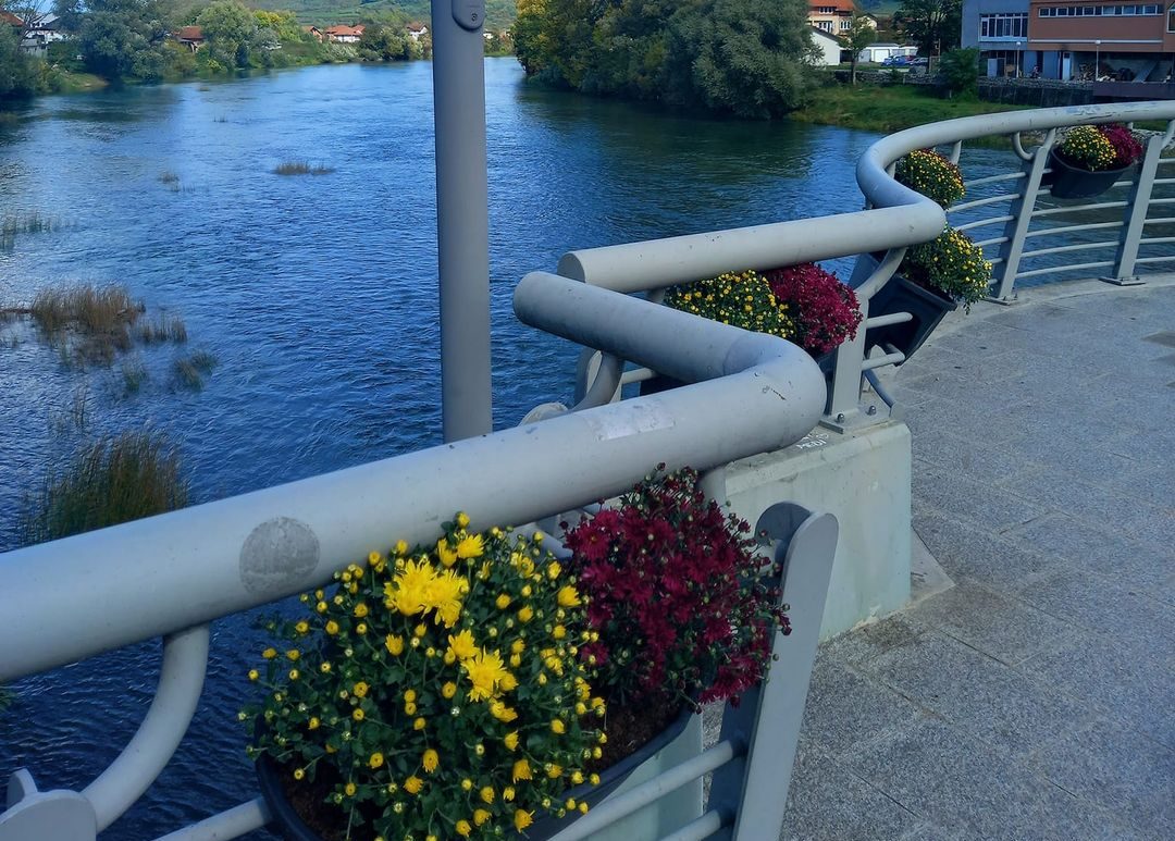 Gradski most ukrašen cvijećem