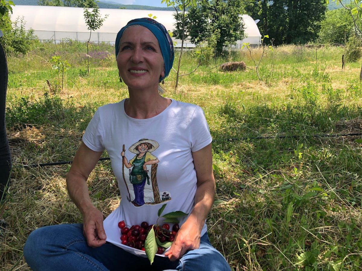Elvira Serdarević uzgaja čak 40 vrsta paradajza