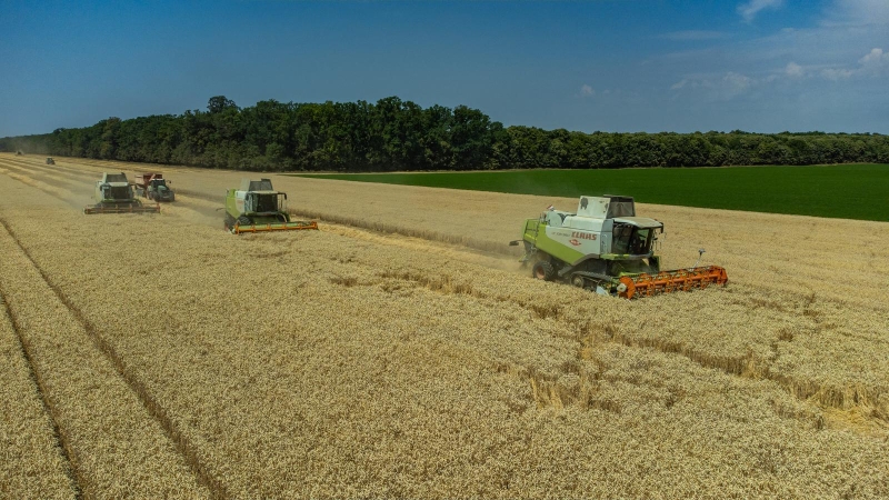 Direkcija za robne rezerve FBiH: Otkupili smo skoro svu pšenicu, mešetari su htjeli profitirati