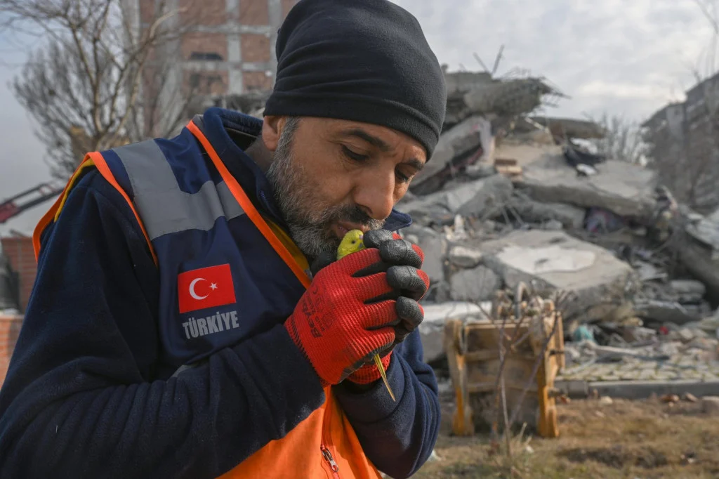 Turci spasili papagaja 5 dana nakon zemljotresa i dali su zaista simbolično ime