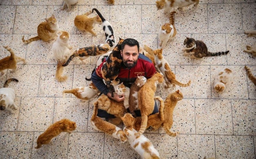Ljudi dobrog srca: Pronalaze i liječe životinje povrijeđene u zemljotresima u Siriji
