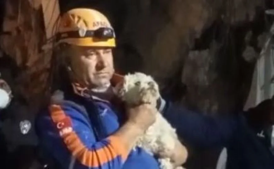 Novo čudo u Turskoj: Ispod ruševina Hataya 25 dana nakon zemljotresa spašen još jedan pas