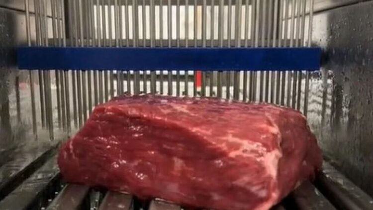 Viralna snimka pumpanja mesa zgrozila potrošače (VIDEO)