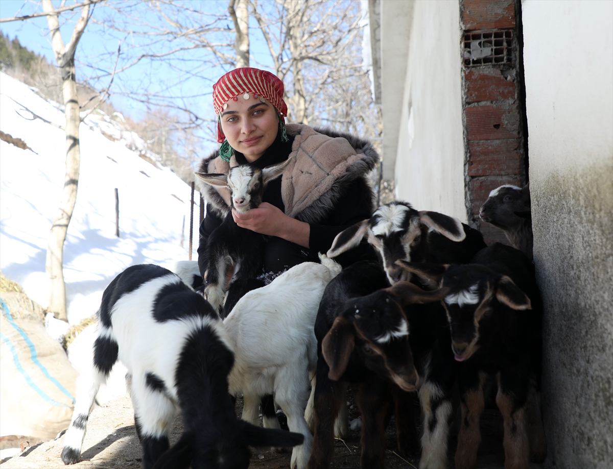 “Turska Heidi” poslije škole kao pastirka čuva ovce i koze