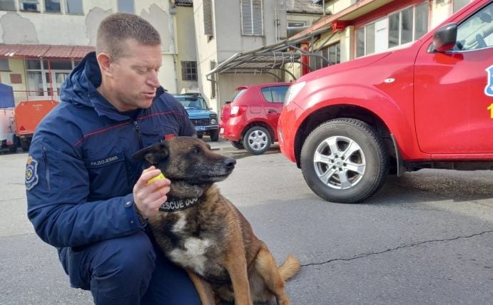 Pas Zigi koji je tražio ljude pod ruševinama u Turskoj se priključuje potrazi za nestalom Dankom