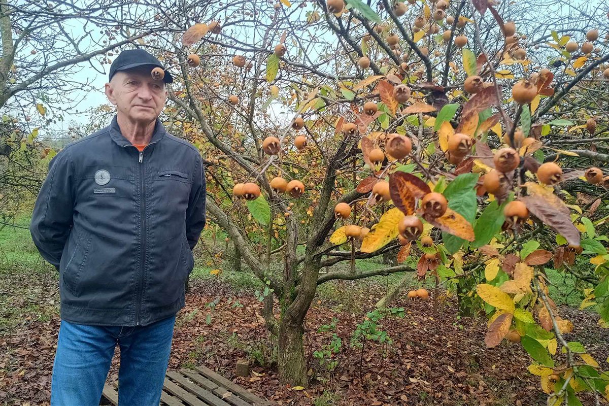 Sanski voćar Enes Kobašlić